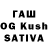 Псилоцибиновые грибы Cubensis ASU KAZAK