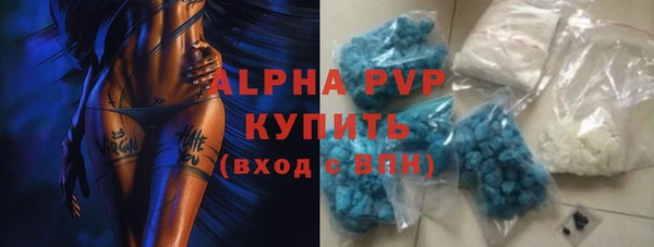 крисы Баксан