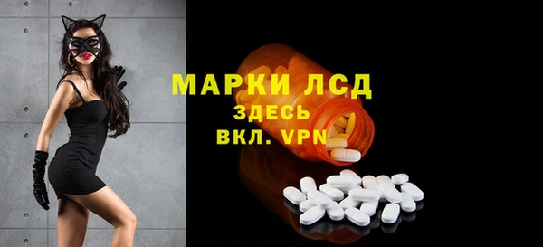крисы Баксан