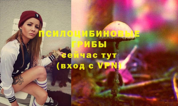 крисы Баксан